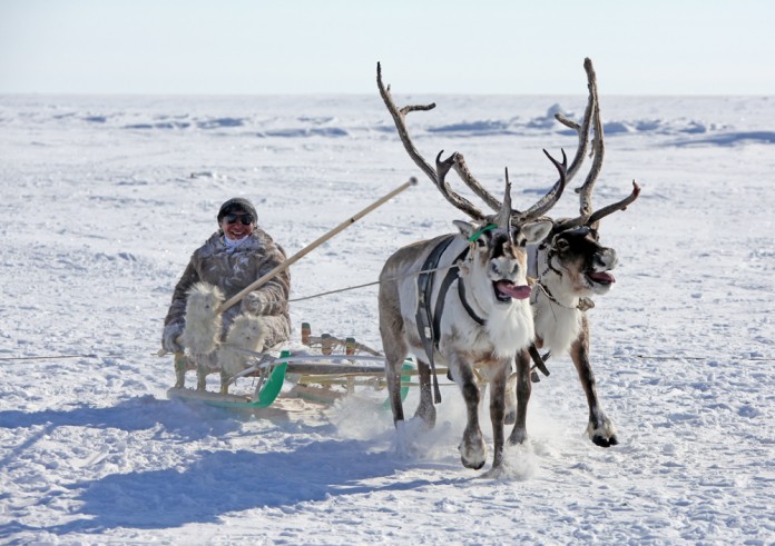 В Якутии широко отметят День Арктики