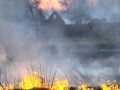 Пожар в заповеднике  произошел рядом территорией обитания тигров в Хабаровском крае