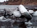 Минэкологии проводит проверку по факту загрязнения реки Чульман в Якутии