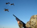 10 уголовных дел возбуждено в Якутии по незаконной охоте