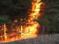 В Якутии действуют 13 лесных пожаров