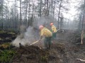 Около 500 га леса горит в Якутии