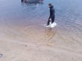 Автомобиль скатился в воду на диком пляже в Якутске, двое погибли