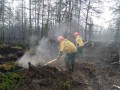 Режим ЧС введен в Жиганском районе Якутии в связи с лесными пожарами