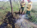 На территории Якутии действуют 135 лесных пожаров