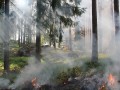 Роспотребнадзор Якутии исследует атмосферный воздух в связи с лесными пожарами