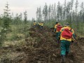 Площадь лесных пожаров увеличилась в Якутии на 150 тыс. га