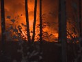 Пожар произошел на городской свалке Якутска