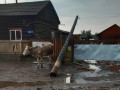 Жители села Норагана в Якутии остались без электричества из-за шквального ветра