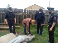 Тело мужчины обнаружили во дворе дома в селе Чурапча в Якутии