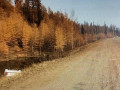 Пенсионер погиб, съехав на машине в водоем в Сунтарском районе Якутии