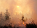 Причастных к возникновению 15 лесных пожаров установили в Якутии