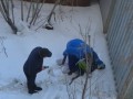 Спасен ребенок, которого накануне обнаружили без сознания за гаражами в Якутске