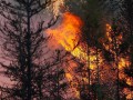 В Верхоянском районе игнорируют ситуацию с природными пожарами - Минэкологии Якутии