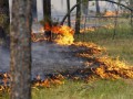 Дым от лесных пожаров окутал Якутск