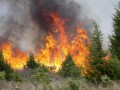 В восьми километрах от Батагая действует лесной пожар
