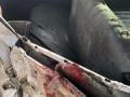 Столкновение трех машин произошло в Якутске