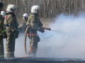 Лесной пожар ликвидирован в Томпонском районе Якутии