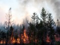 В Якутии тушат пять лесных пожаров на общей площади 64 га