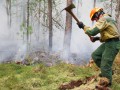Восемь лесных пожаров зарегистрировано на территории Якутии
