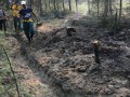 За сутки в Якутии локализовано три лесных пожара