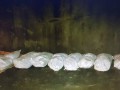 Житель Аллаиховского района Якутии украл 10 мешков рыбы