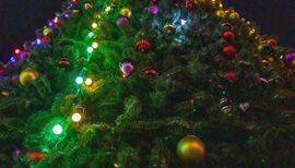 Елочка, гори: В Нерюнгри зажглась главная новогодняя елка