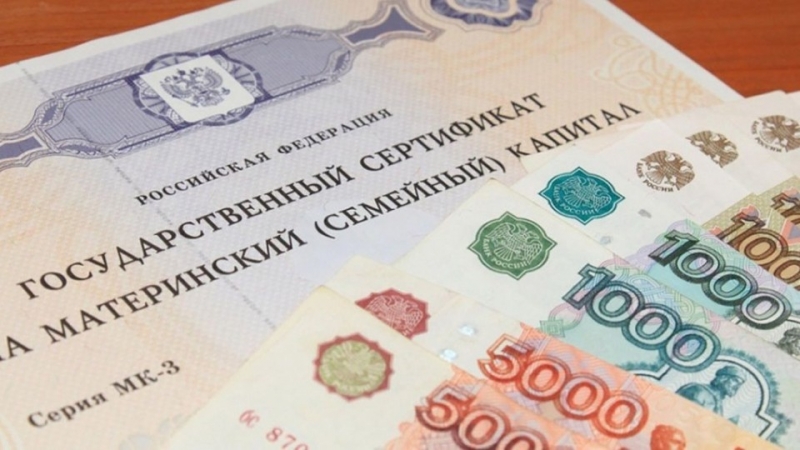 Топ-10 новостей: Коронавирус в Якутии, собачьи паспорта и измененный маткапитал