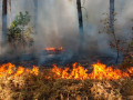 Более 150 природных пожаров действует в Якутии