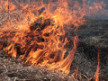 Причиной лесных пожаров в Среднеколымском районе стал сельскохозяйственный пал