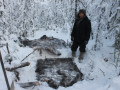Житель Якутии незаконно добыл двух лосей на сумму 800 тысяч рублей