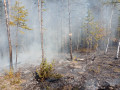 Пожар действует в 50 километрах от газопровода поселка Кысыл-Сыр в Якутии
