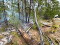Два локальных пожара ликвидировали в районах Якутии