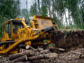 Суд вынес приговор по делу о незаконной рубке леса на 12 млн рублей в Якутии