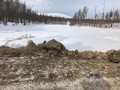 Экологи выявили второй незаконно обустроенный автозимник на реке Токко в Якутии