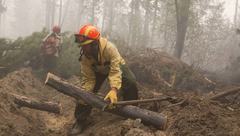 268 природных пожаров действуют в Якутии, в ближайшее время собираются вызвать искусственные дожди