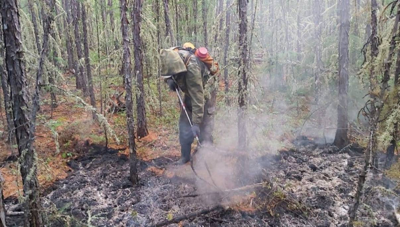 В Горном улусе ликвидировано три лесных пожара