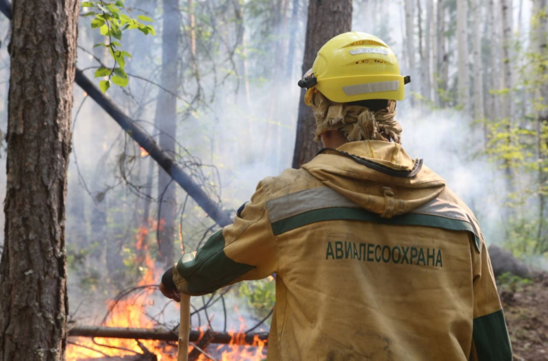 Сотрудники федеральной «Авиалесоохраны» прибудут в Якутию на тушение лесных пожаров