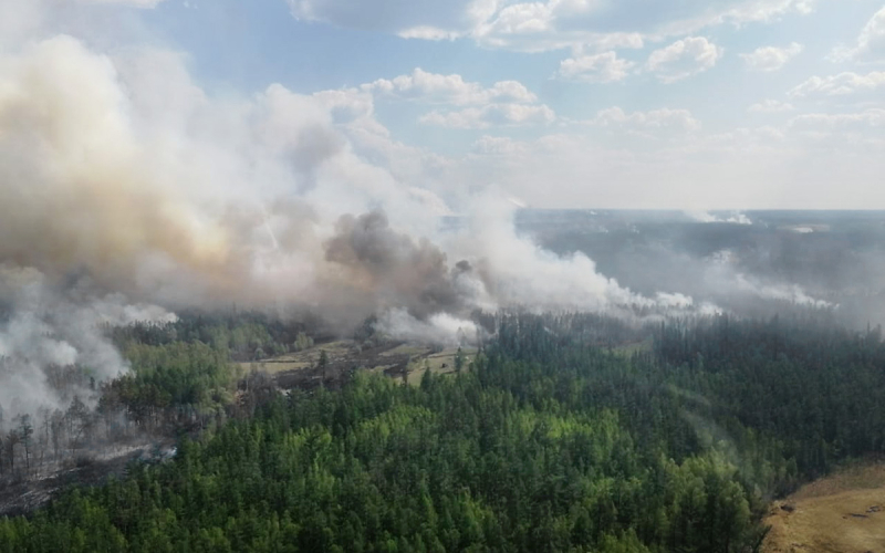 12 лесных пожаров ликвидировали за сутки в Якутии