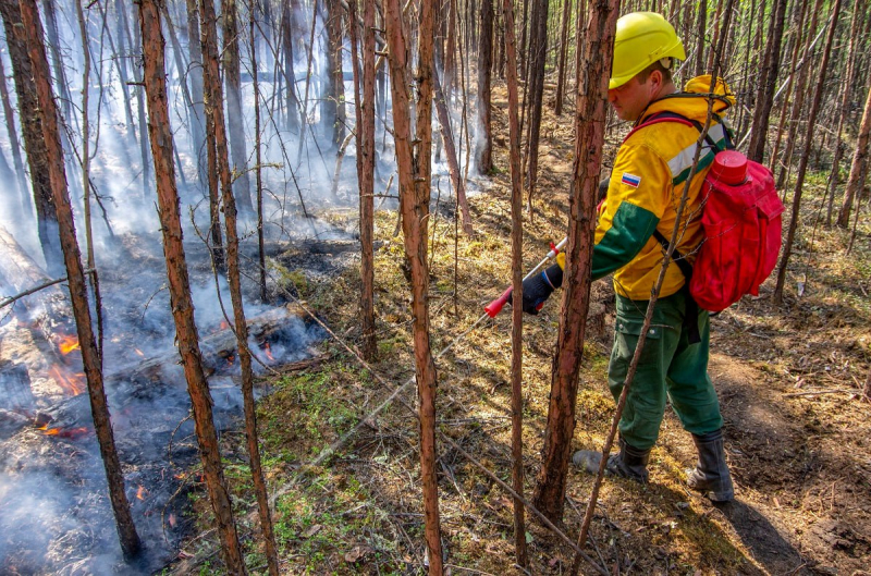 Три лесных пожара на площади более двух тысяч га ликвидировали в Якутии