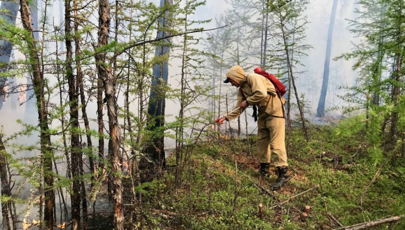 Количество пожаров в Якутии превысило 200 очагов, сложная обстановка — на территории 12 районов