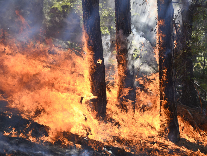 Более 100 лесных пожаров действуют на территории Якутии